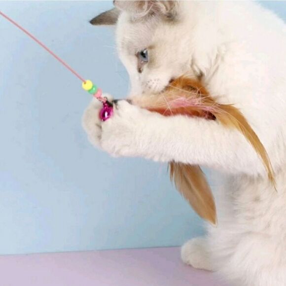 Mom Cat Themed Mystery Fun Box for Kitty Moms and Cats - Picture 8 of 10